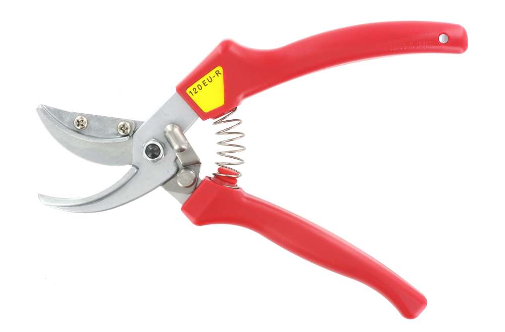 ARS 120 EU-R, Cut & Hold Rose Pruner, High Carbon Stainless Steel Blade, For Farms, Garden, Cuts Stems Upto 15 MM