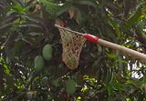 Cotton Net Fruit Picker For Mango, Chickoo