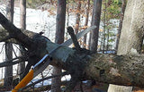 BIGBOY 2000 Professional Tree Saw, For Pruning Tree Branch Upto 4 inch