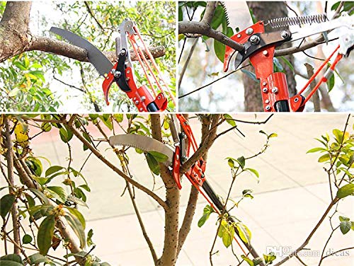 VALTS001 Long Reach Tree Saw With Pruner, For Tree Branch Pruning & Drum Stick Pruning