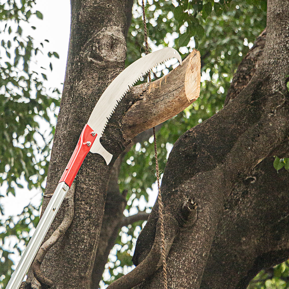 ARS UV-47 Super TurboCut Tree Saw, Can Prune Tree Branch Upto 6 Inch, Made in Japan