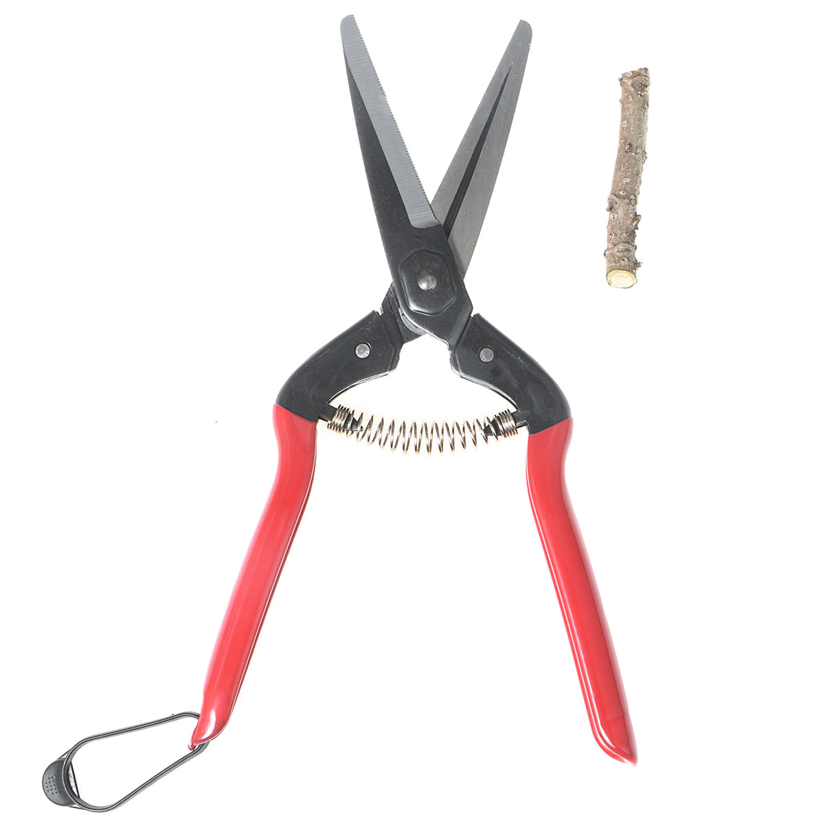 VAPS 030, Long Blade Steel Fruit & Flower Cutter, cuts plant stems upto 10mm, Best Garden Scissor