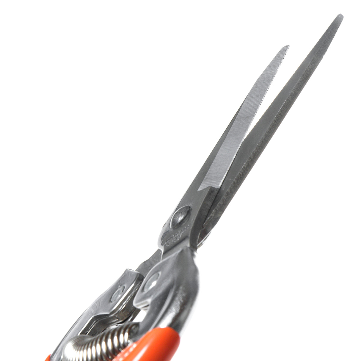 VAPS010 Stainless Steel Blade Pruning Secateur, Best Pruner For Gardens, Nursery, Vegetable Pruning, Flower Stems