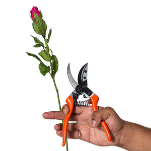 VAPS015 Cut & Hold Rose Pruner