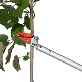 HC-833, 3 MTR Telescopic Cut & Hold Fruit Picker. For Mango, Drumstick