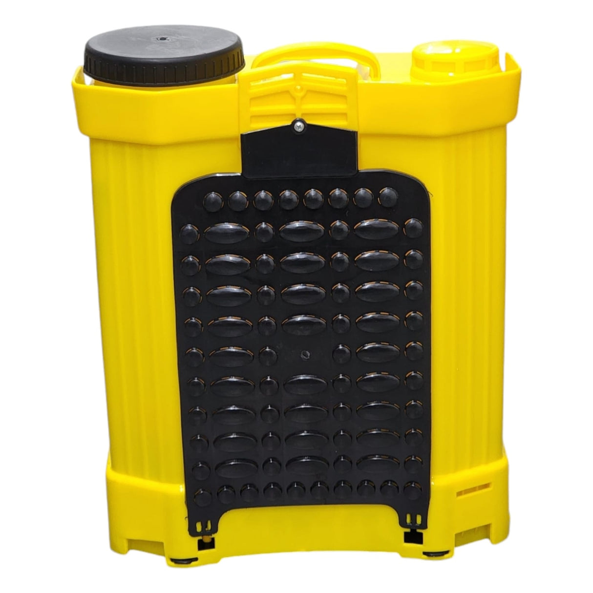 BIGFOG 20L, BS-04 Agriculture Dual Motor Battery Sprayer 12V/12AH, For Pesticide Spraying