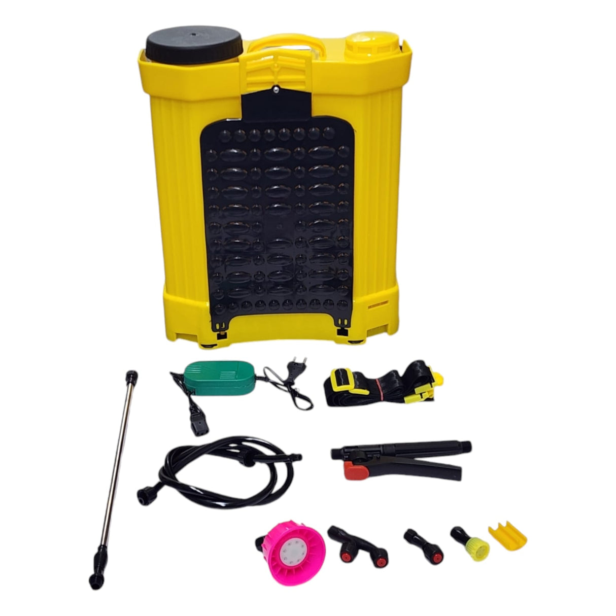 BIGFOG 20L, BS-04 Agriculture Dual Motor Battery Sprayer 12V/12AH, For Pesticide Spraying