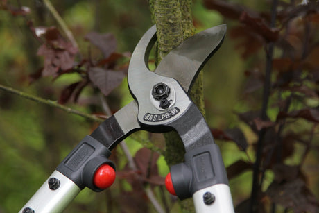 ARS LPB-30L Lopper, For Tree Branch Pruning Upto 2.5 Inch, Made in Japan