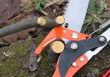 VALTS001 Long Reach Tree Saw With Pruner, For Tree Branch Pruning & Drum Stick Pruning